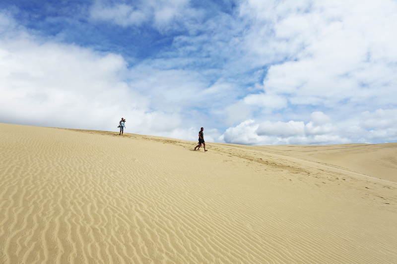 Te Paki Sand Dunes, Northland : New Zealand : Travel : Photos :  Richard Moore Photography : Photographer : 
